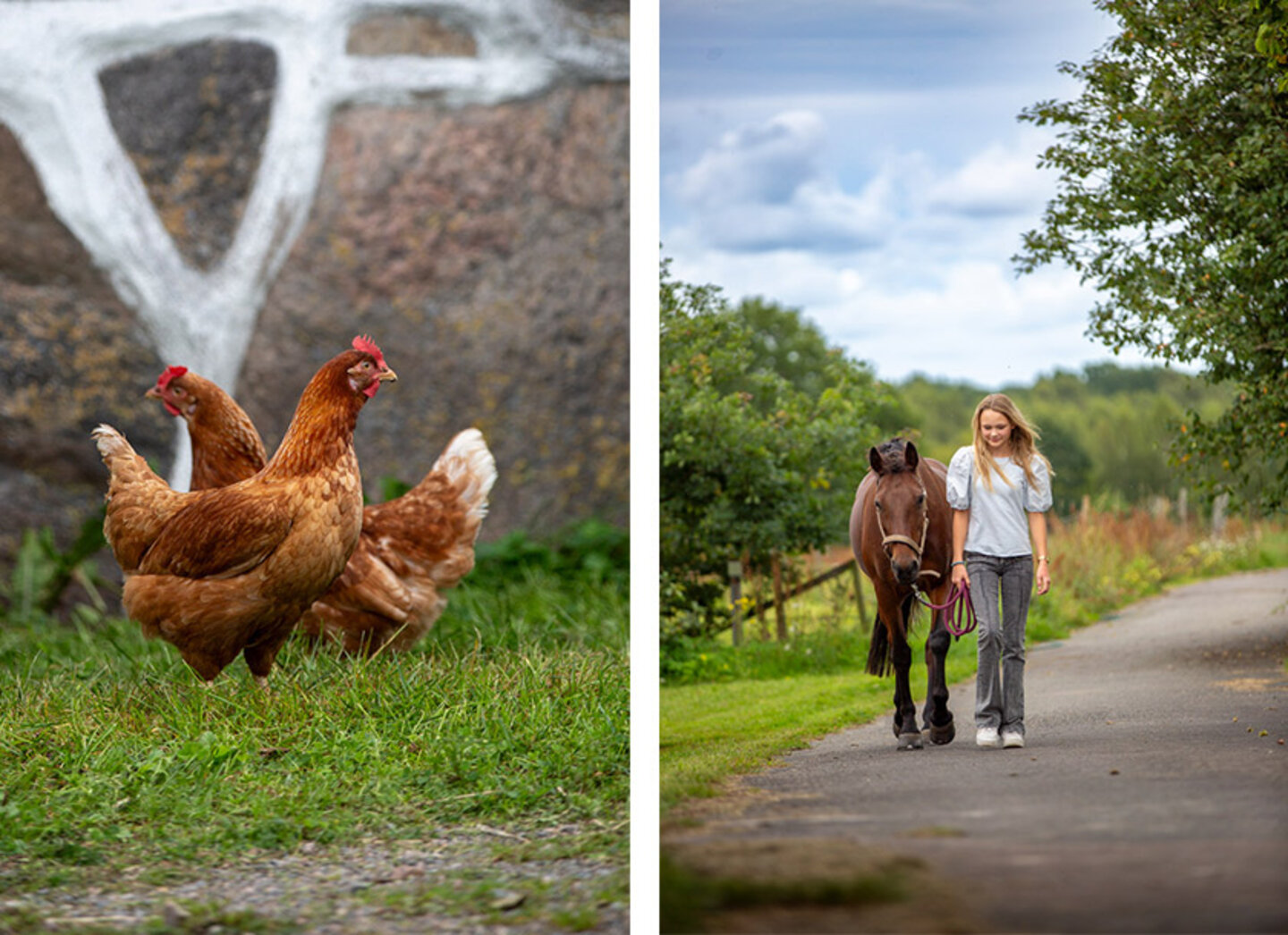 Barnfamiljens stora moderna lantkök Barnfamiljens stora moderna lantkök